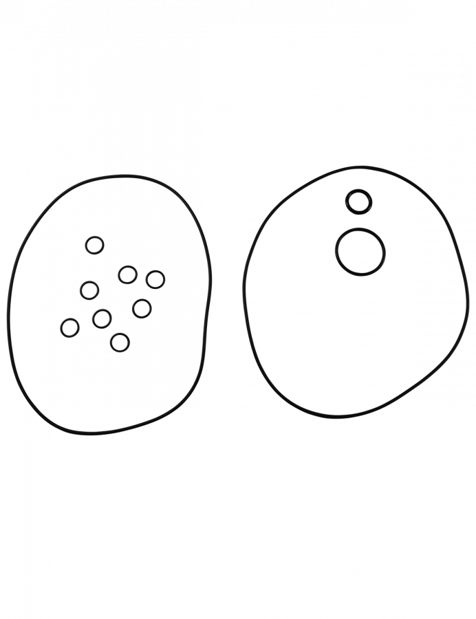 Grundfos Kit O-ring CR95 EPDM D22