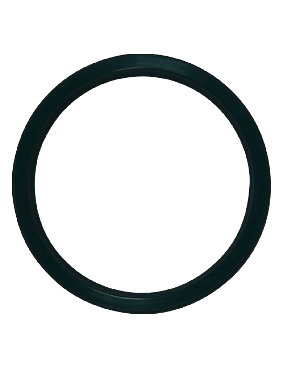 Уплотнение Grundfos Rubber seal NDE-end Siemens 160