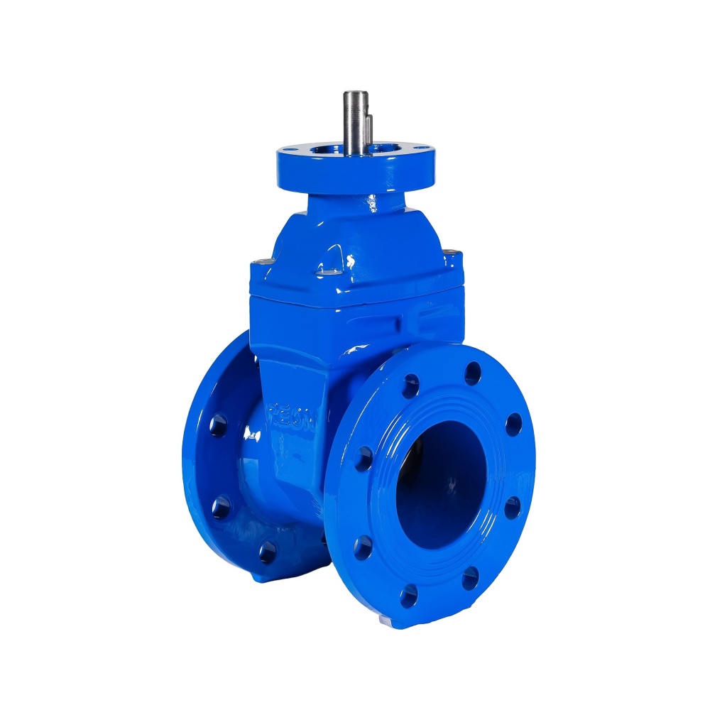 Фото Задвижка чугунная с обрезиненным клином (красная) REON тип RSV02 с голым штоком и фланцем ISO 5210 (ISO 5211) DN 250 PN16, артикул 250RSV02RED