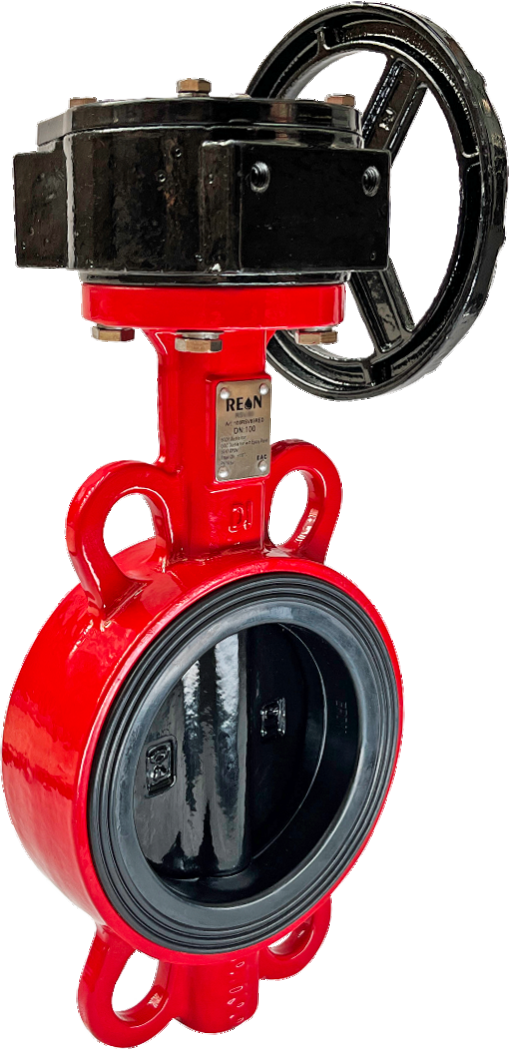 Затвор REON RSV83RED DN250 PN16