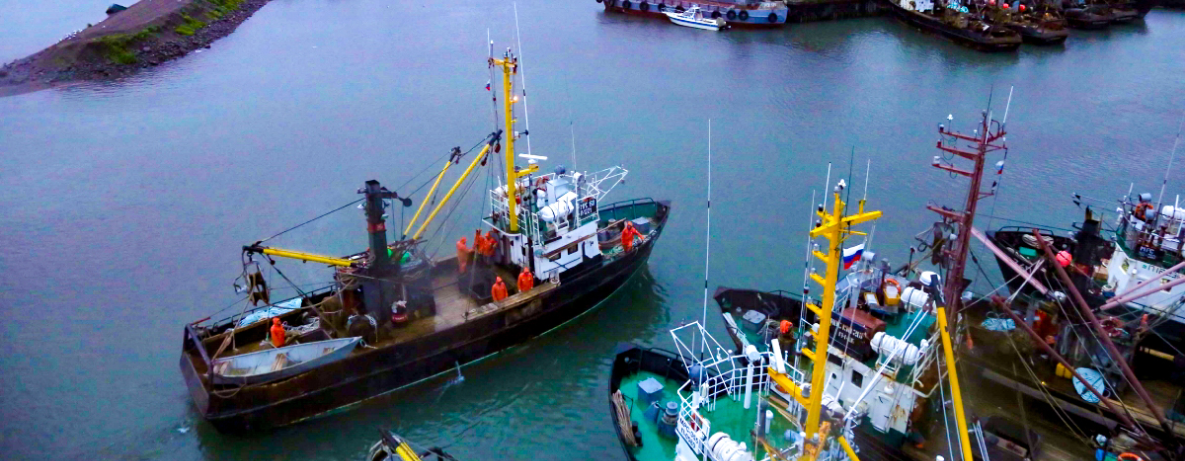 АО «Озерновский рыбо-консервный завод №55»