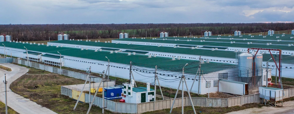 ООО «Мясоперерабатывающий комбинат «Гвардия»