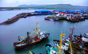 АО «Озерновский рыбо-консервный завод №55»